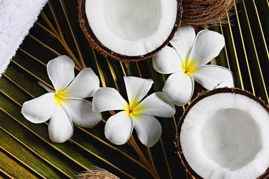 Body scrub with coconut — Bali Excursion with Private Guide