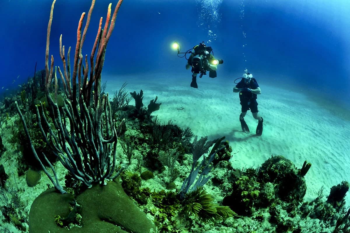 Diving in Russian