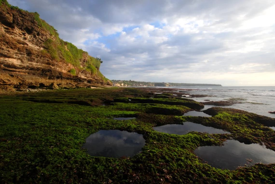 Ландшафт пляжа Паданг-Паданг: растительность, скалы и мели у Dreamland Reef Bali Lowtide во время отлива.