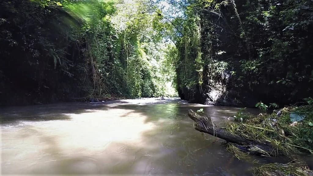 Rafting in Bali