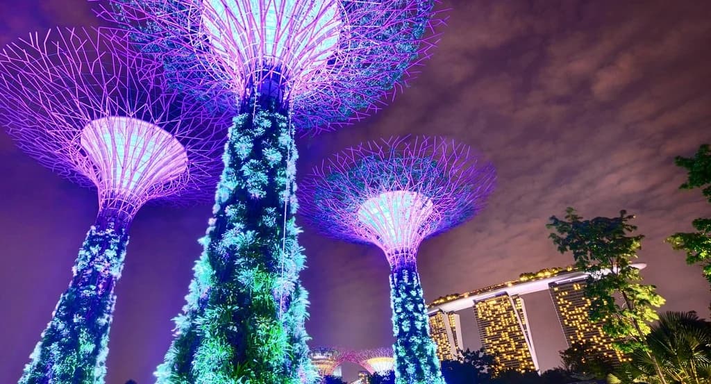 Night Singapore — Bali Excursion with Private Guide