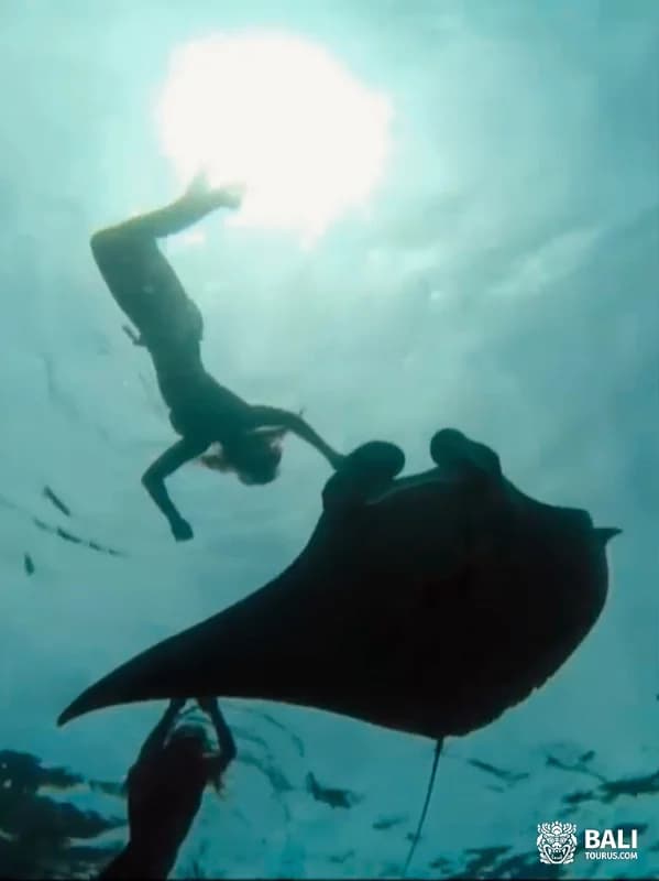 Snorkeling and Manta Point on Nusa Penida