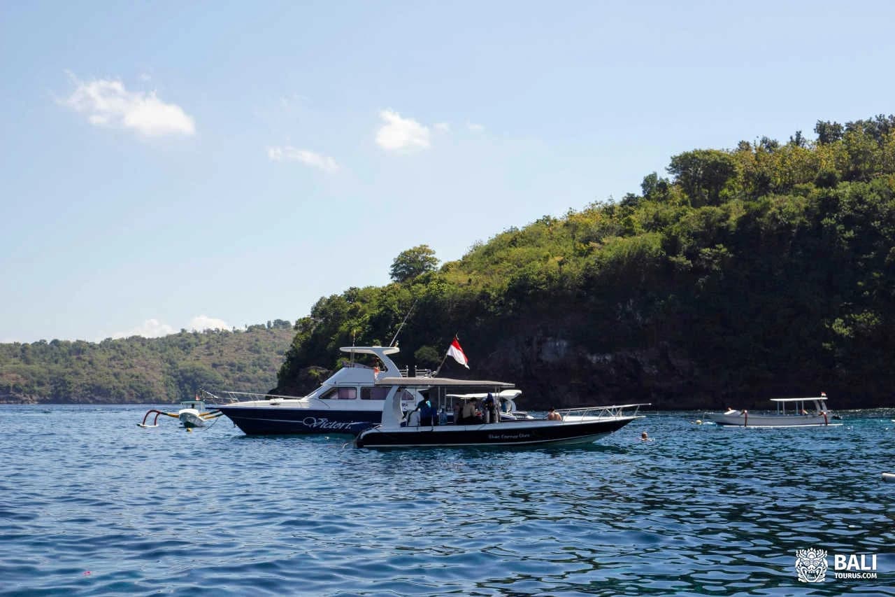 Snorkeling and Manta Point on Nusa Penida