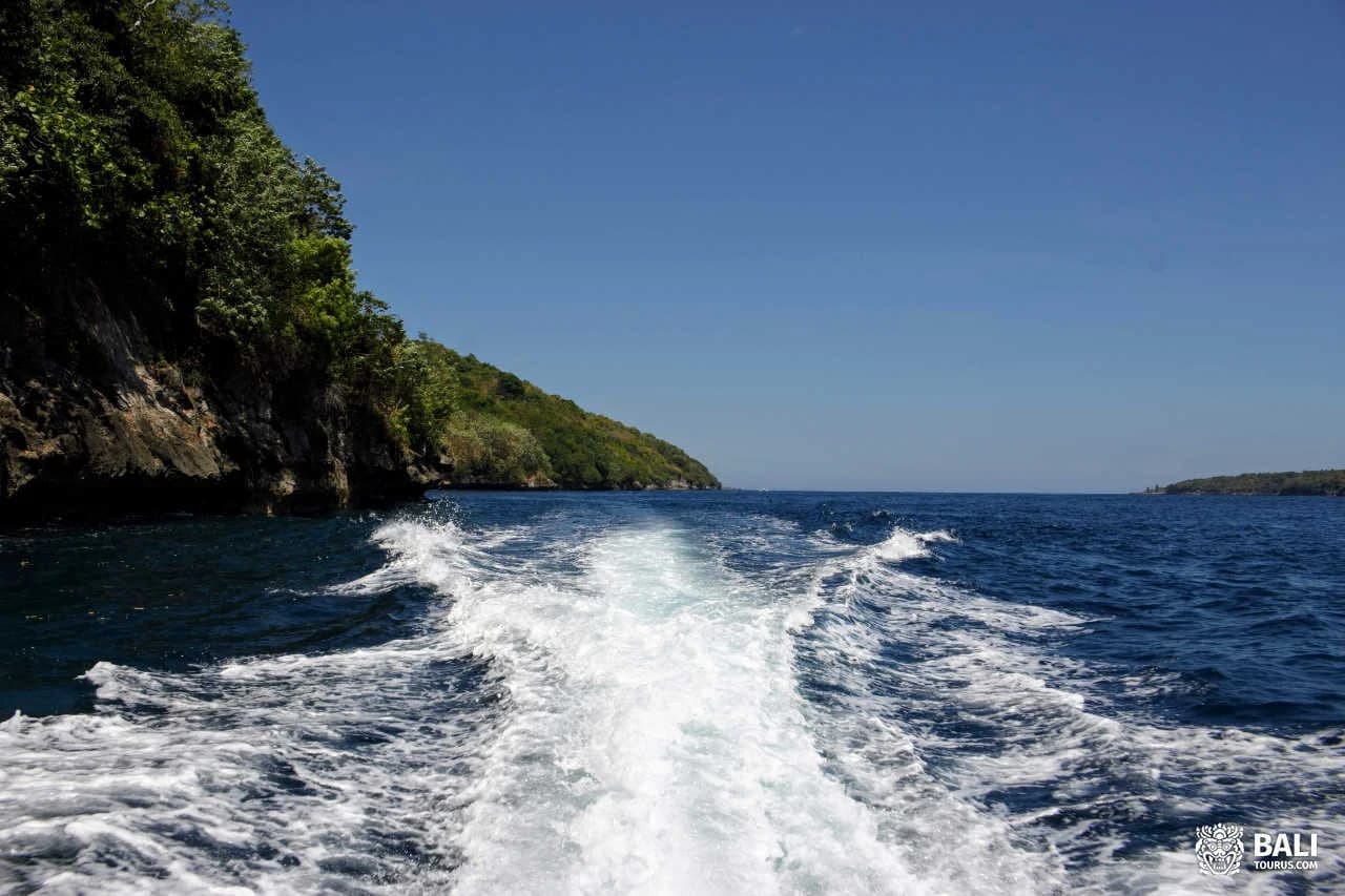 Snorkeling and Manta Point on Nusa Penida