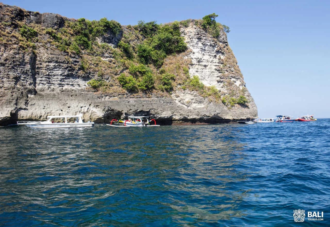 Snorkeling and Manta Point on Nusa Penida