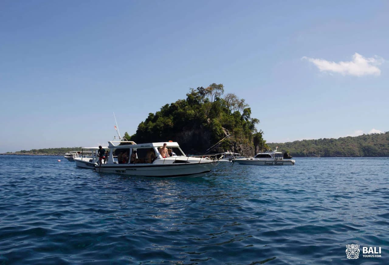Snorkeling and Manta Point on Nusa Penida