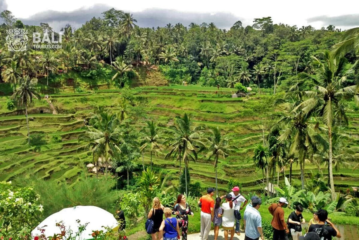 Ubud tour