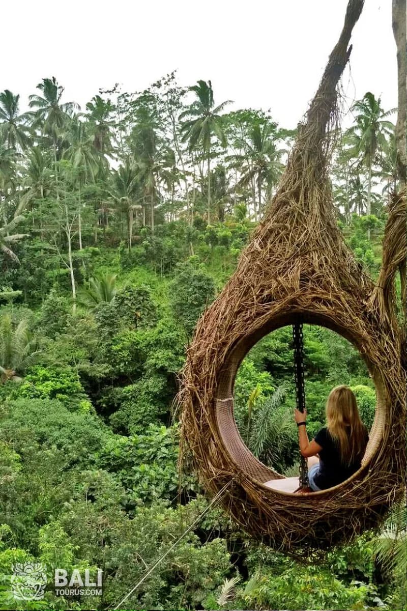 Ubud tour