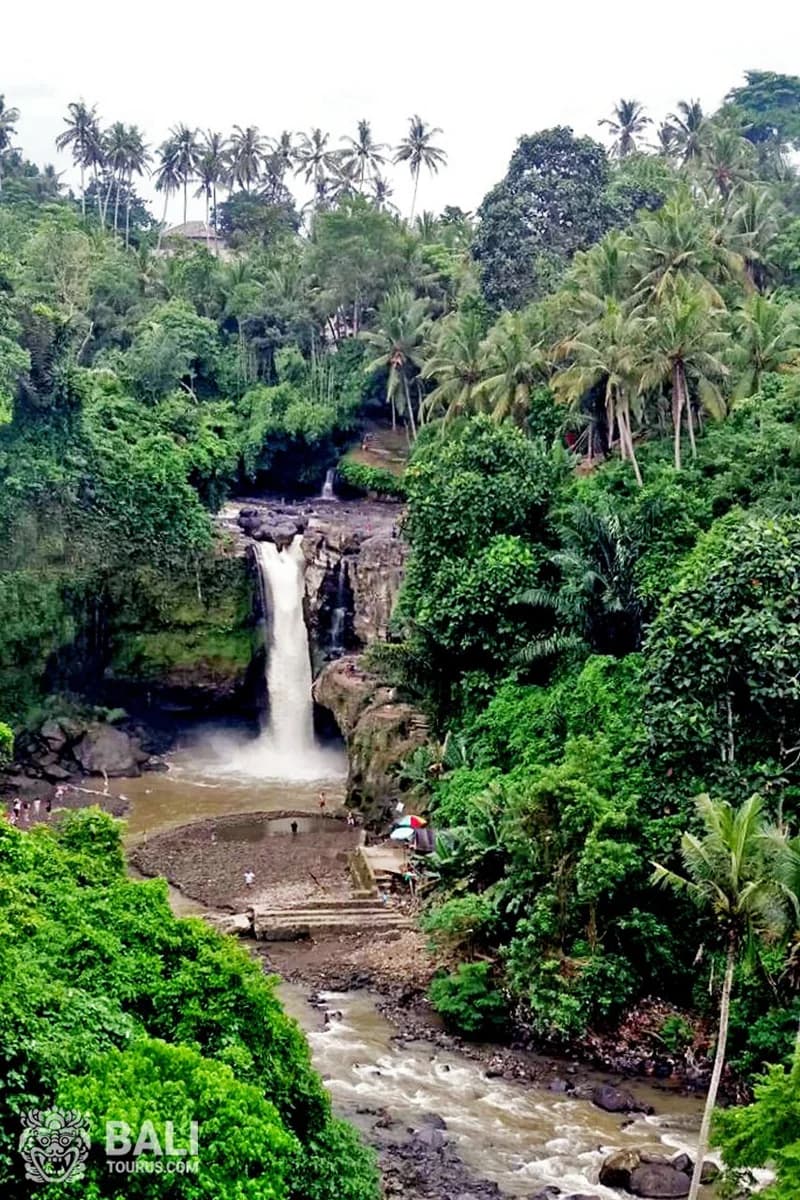 Ubud tour