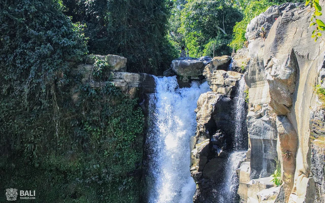 Ubud tour
