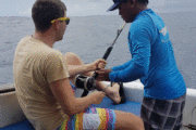 Рыбалка на бали, анимация процесса добычи рыбы - Экскурсии на Бали