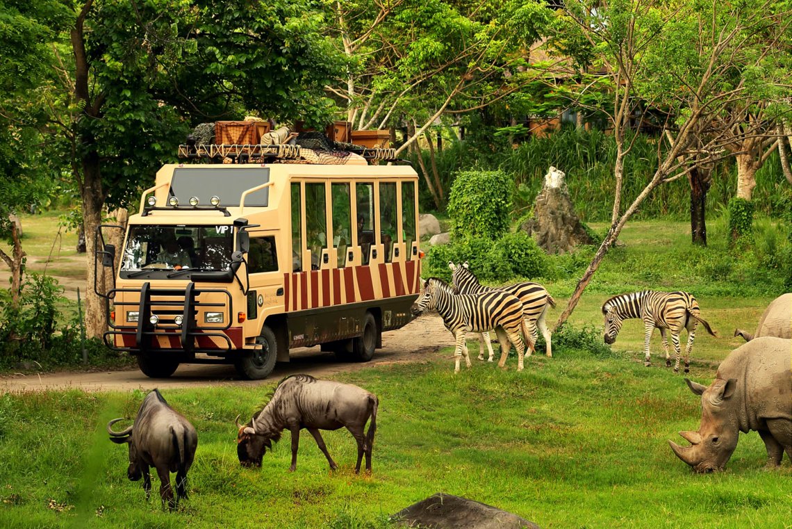 Сафари парк на Бали - активная экскурсия